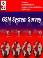 GSM system survey
