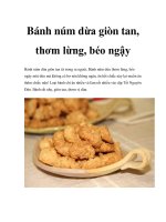 Bánh núm dừa giòn tan, thơm lừng, béo ngậy pptx