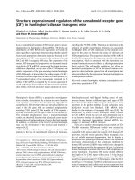 Báo cáo khoa học: Structure, expression and regulation of the cannabinoid receptor gene (CB1 ) in Huntington’s disease transgenic mice ppt