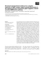 Báo cáo khoa học: Structural and functional evidence for a singular repertoire of BMP receptor signal transducing proteins in the lophotrochozoan Crassostrea gigas suggests a shared ancestral BMP/activin pathway docx