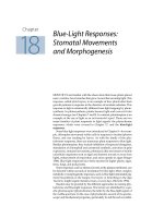 Plant physiology - Chapter 18 Blue-Light Responses: Stomatal Movements and Morphogenesis pdf