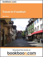 Travel to Frankfurt docx