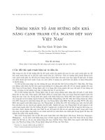 nhóm nhân tố ảnh hưởng đến khả năng cạnh tranh của ngành dệt may việt nam