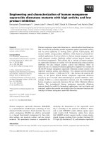 Báo cáo khoa học: Engineering and characterization of human manganese superoxide dismutase mutants with high activity and low product inhibition potx