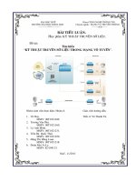 TIỂU LUẬN: KỸ THUẬT TRUYỀN SỐ LIỆU TRONG MẠNG VÔ TUYẾN pptx