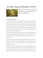 Kỹ thuật trồng quýt hồng theo VietGAP ppt