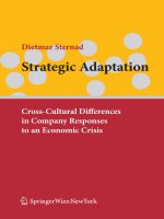 Strategic Adaptation: Cross-Cultural Differences in Company Responses to an Economic Crisis pot