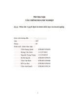 Đề tài : Phân tích 3 quyết định tài chính chiến lược của doanh nghiệp pdf