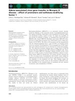 Báo cáo khoa học: Adeno-associated virus gene transfer in Morquio A disease – effect of promoters and sulfatase-modifying factor 1 pot