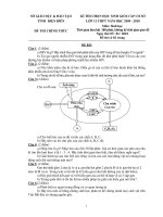 Đề thi học sinh giỏi lớp 12 THPT tỉnh Điện Biên năm 2010 môn Sinh doc