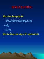 Bệnh lý đại tràng doc