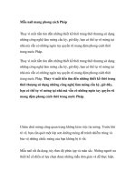 Mẫu nail mang phong cách Pháp ppt