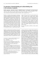 Báo cáo khoa học: Co-operation of domain-binding and calcium-binding sites in the activation of gelsolin pptx