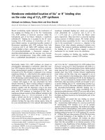 Báo cáo Y học: Membrane embedded location of Na+ or H+ binding sites on the rotor ring of F1F0 ATP synthases ppt