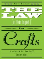 The Law (In Plan) for Crafts potx