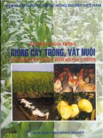 Kỹ thuật nuôi trồng giống cây trồng, vật nuôi ứng dụng kỹ thuật tiến bộ phát triển potx