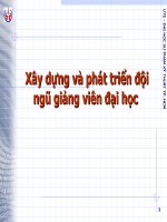 Xây dựng và phát triển đội ngũ giảng viên đại học docx