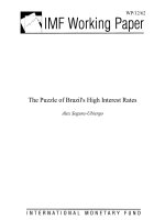 The Puzzle of Brazil''''s High Interest Rates pptx