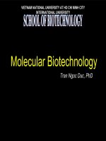 Molecular Biotechnology-Lession 3: Basic techniques in DNA technology ppt