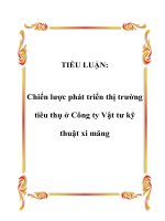 TIỂU LUẬN: Chiến lược phát triển thị trường tiêu thụ ở Công ty Vật tư kỹ thuật xi măng pot