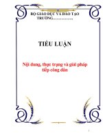 TIỂU LUẬN: Nội dung, thực trạng và giải pháp tiếp công dân potx