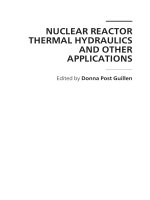 NUCLEAR REACTOR THERMAL HYDRAULICS AND OTHER APPLICATIONS pptx