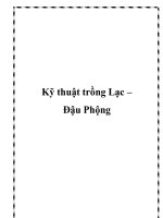 Kỹ thuật trồng Lạc – Đậu Phộng potx