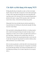 Các dịch vụ khả dụng trên mạng NGN pot