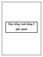 Học tiếng Anh bằng 5 giác quan pptx