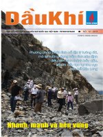 Tạp chí của tập đoàn dầu khí quốc gia Việt Nam - Petrovietnam - Số 12 - 2011 pot