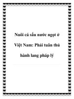 Nuôi cá sấu nước ngọt ở Việt Nam: Phải tuân thủ hành lang pháp lý ppt