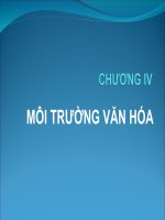 bài giảng kinh doanh quốc tế - chương 4 môi trường văn hóa