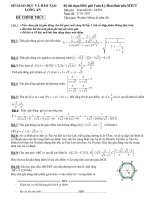 Đề thi HSG trên máy tính cầm tay 2013 môn Toán khối 10 GDTX tỉnh Long An potx