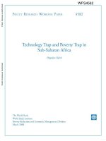 technology trap and poverty trap in sub saharan africa doc