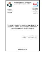EVALUATING LABOR ENVIRONMENTAL RISKS AT GS COMPANY, VIETNAM AND SUGGEST SOLUTIONS