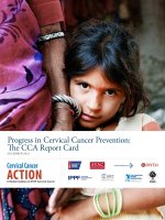 Progress in Cervical Cancer Prevention: The CCA Report Card pot
