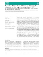Báo cáo khoa học: Regulation of translational efﬁciency by different splice variants of the Disc large 1 oncosuppressor 5¢-UTR potx