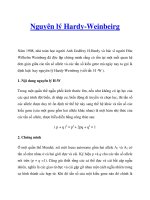 Nguyên lý Hardy-Weinbeirg potx