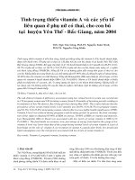 Tình trạng thiếu Vitamin A và yếu tố liên quan ở phụ nữ có thai, cho con bú ở huyện Yên Thế, Bắc Giang docx