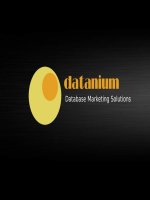 Database Marketing Solutions potx