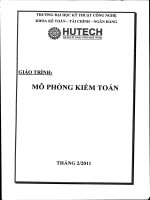 Mô phỏng kiểm toán