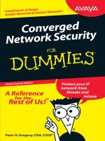 Converged Network Security For Dummies pot
