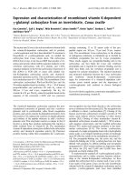 Báo cáo Y học: Expression and characterization of recombinant vitamin K-dependent c-glutamyl carboxylase from an invertebrate, Conus textile doc