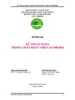 TIỂU LUẬN:KỸ THUẬT ELISA TRONG CHẨN ĐOÁN VIRUS GUMBORO pdf