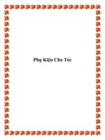 Phụ Kiện Cho Tóc pptx