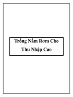 Trồng Nấm Rơm Cho Thu Nhập Cao ppt