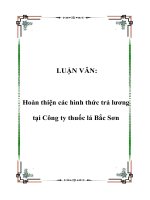LUẬN VĂN: Hoàn thiện các hình thức trả lương tại Công ty thuốc lá Bắc Sơn pot