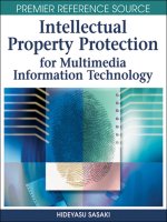Intellectual Property Protection for Multimedia Information Technology docx