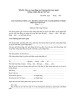 MẪU BÁO CÁO HOẠT ĐỘNG CỦA THƯƠNG NHÂN NƯỚC NGOÀI KHÔNG CÓ HIỆN DIỆN TẠI VIỆT NAM (Năm…….) pot