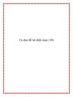 Ca dao đề tài diện mạo hình dáng ppt